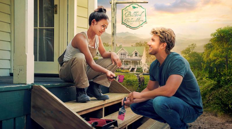 amor en obras portada