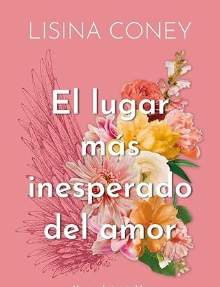 el lugar más inesperado del amor biblioteca